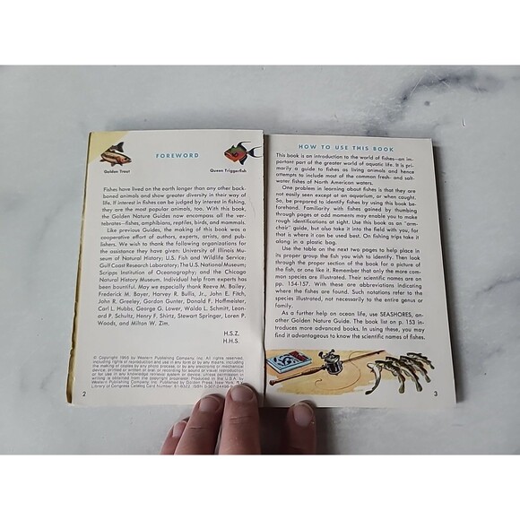 A Golden Guide Fishes Paperback - Picture 3 of 10